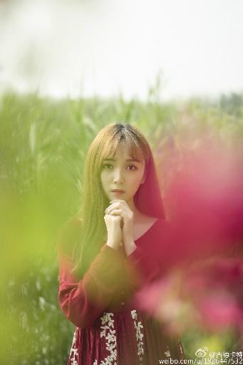 白色城堡电视剧在线观看免费